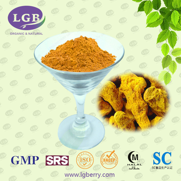 Curcuma longa Root Extract