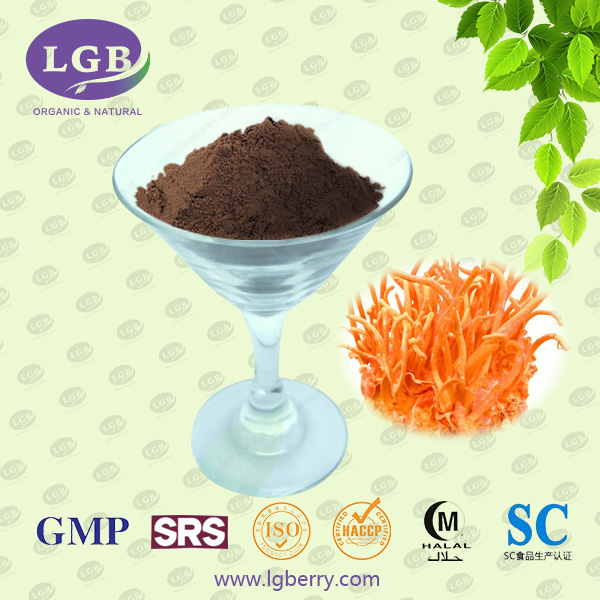 Cordyceps militaris Extract 