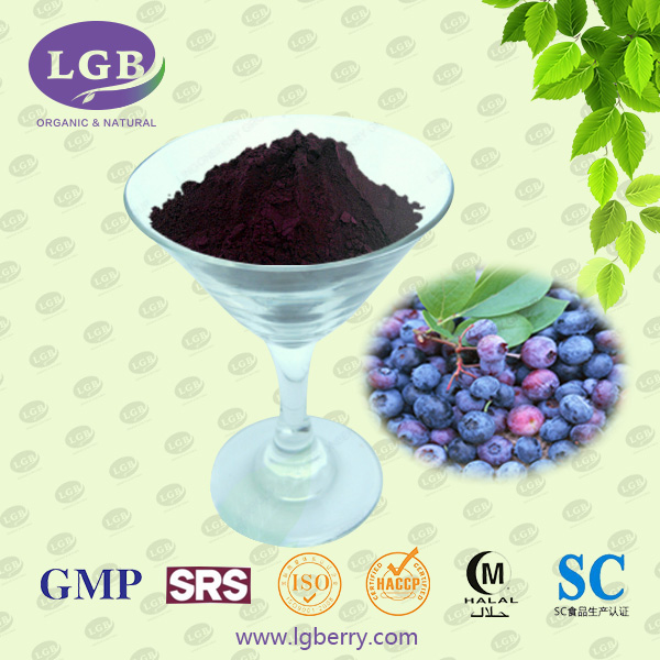 Blueberry Anthocyanin