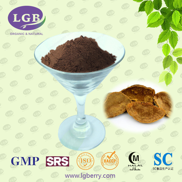 Phellinus Igniarius Extract