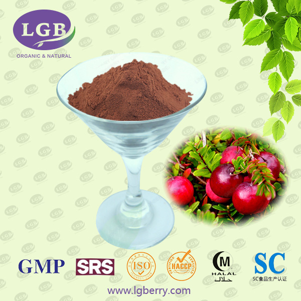 Cranberry Extract Powder