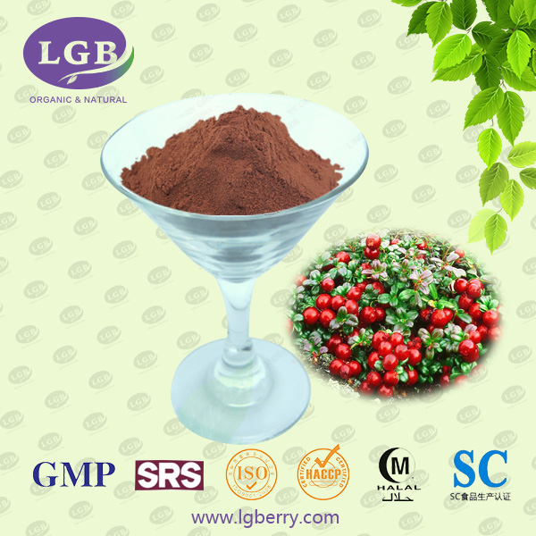 Lingonberry Extract Powder