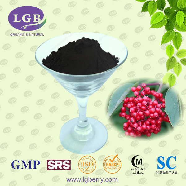 Elderberry Anthocyanin