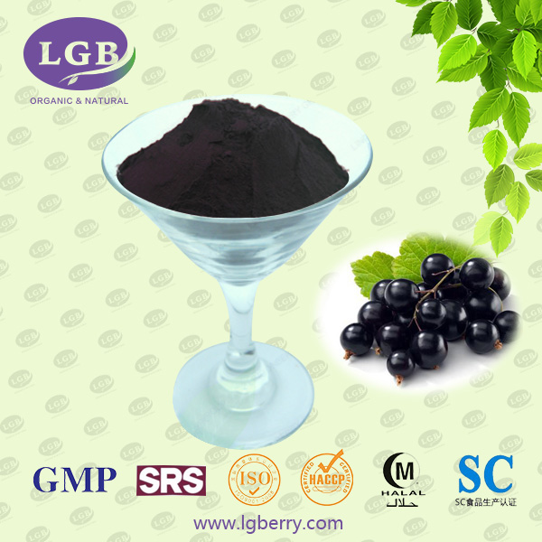 Black Currant Anthocyanin