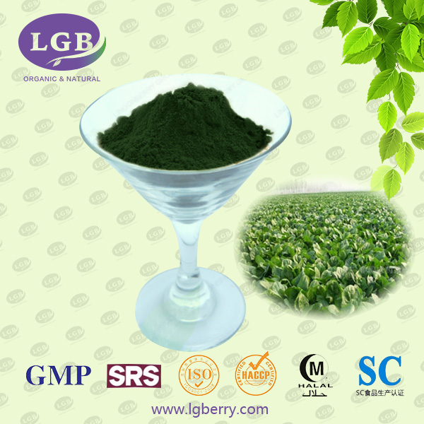 Spinach Extract (Chlorophyll)