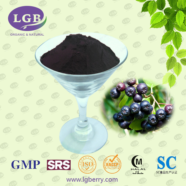 Black Chokeberry Anthocyanin