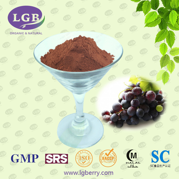 Grape Seed Extract Powder