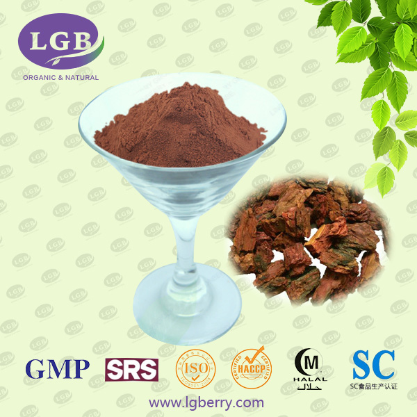 Pine Bark Extract Powder