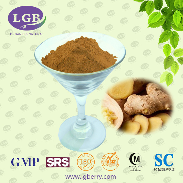 Ginger Root Extract