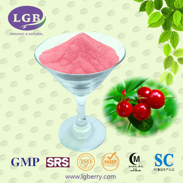 Lingonberry Juice Powder