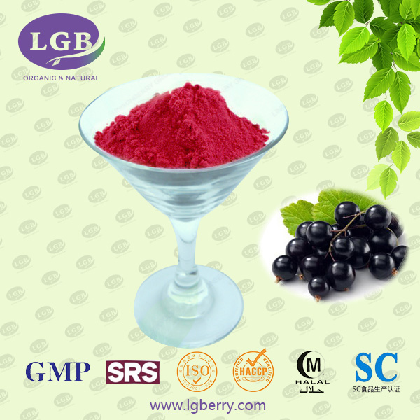 Black Currant Juice Powder