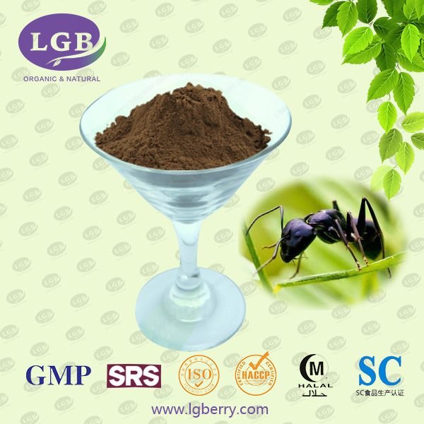 Black Ants Extract