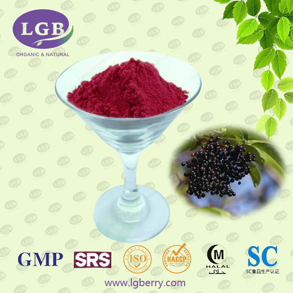 Black Elderberry Juice Powder