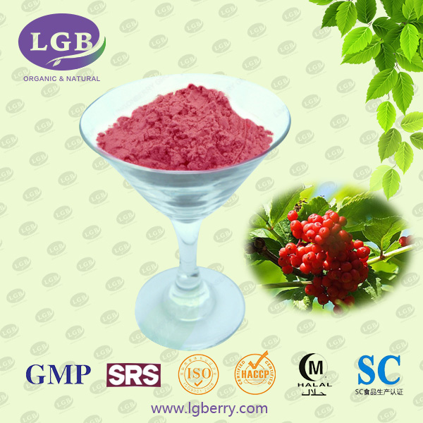 Elderberry Juice Powder