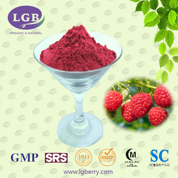 Raspberry Juice Powder