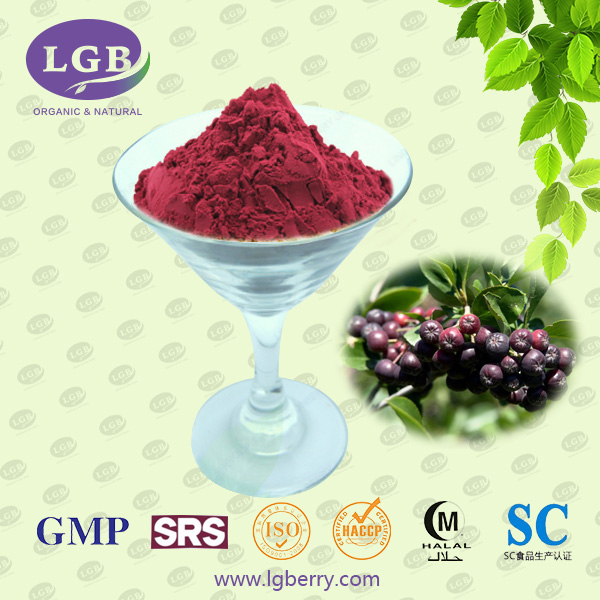 Black Chokeberry Juice Powder