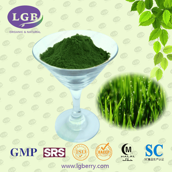 Barley Grass Juice Powder