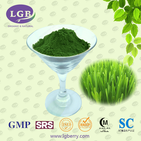 Wheat Grass Juice Powder