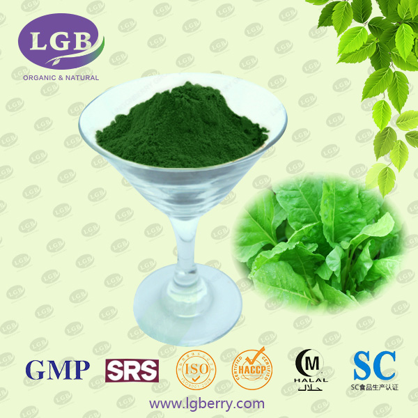 Spinach Juice Powder